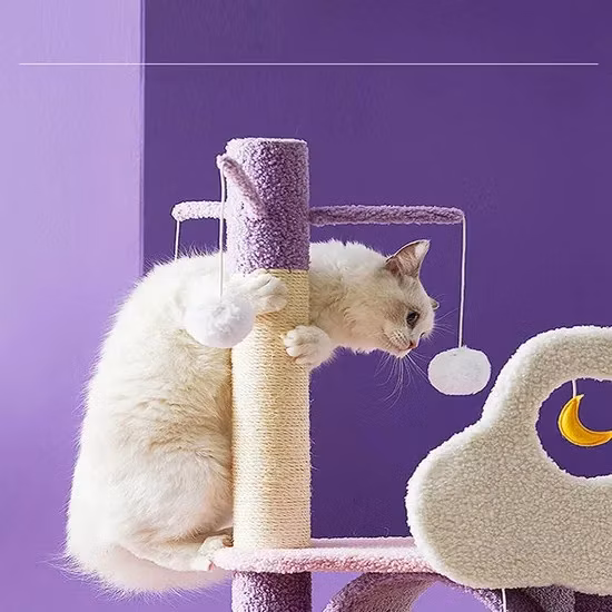 Modern Large Big Climbing Scratch Pet Scratcher Wood Condo Furniture